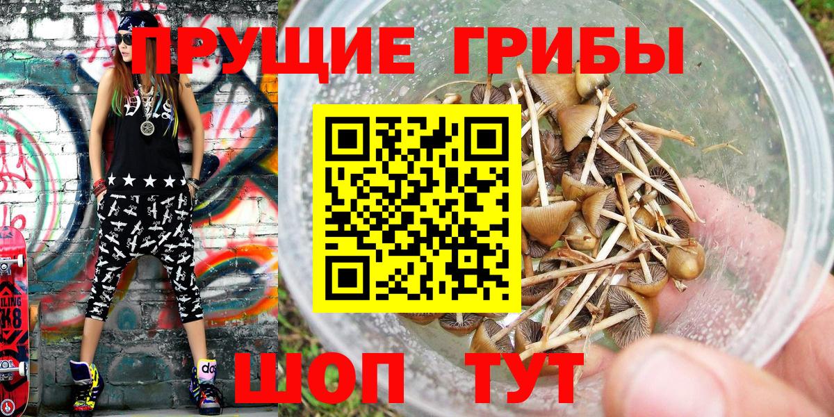 Большой Камень  Псилоцибиновые грибы Magic Shrooms  Вход с VPN 