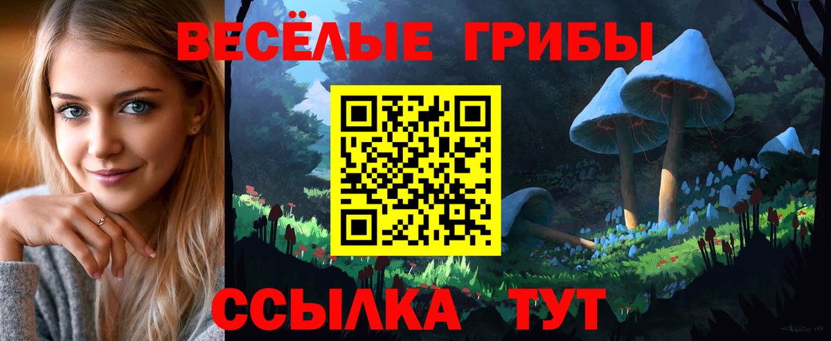 Галлюциногенные грибы прущие грибы Большой Камень